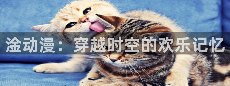 成人动漫天堂av