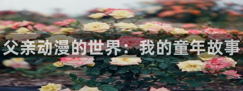 同人动漫天堂
