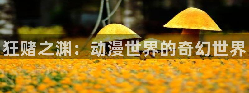 3d动漫天堂网