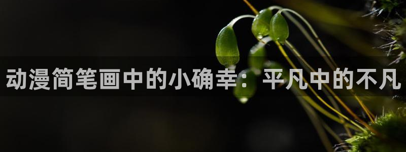 动漫天堂岛