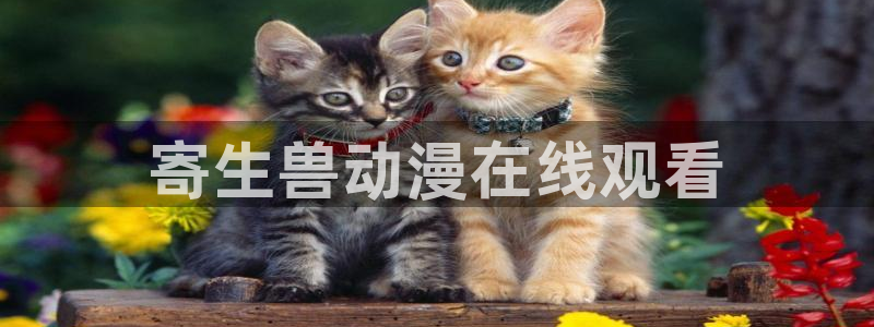 动漫天堂之吻