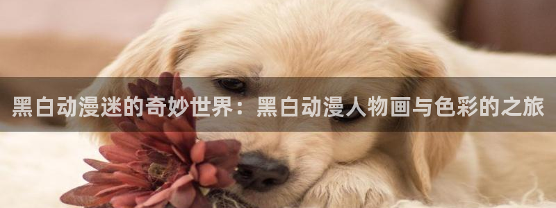 动漫天堂网