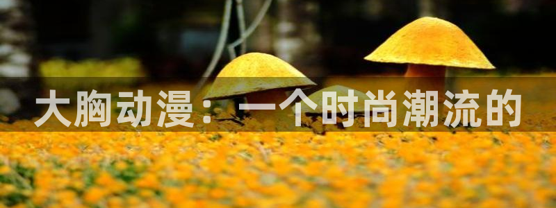 动漫天堂下载正版