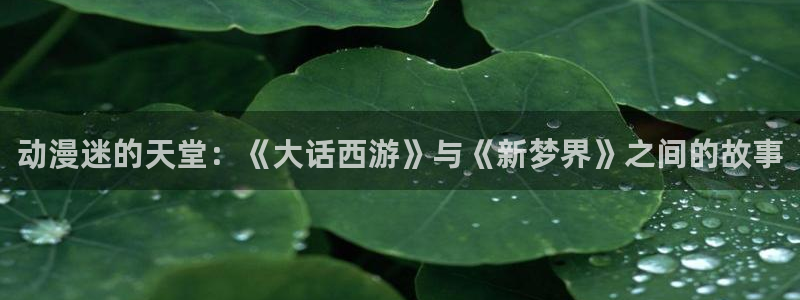 禁动漫天堂