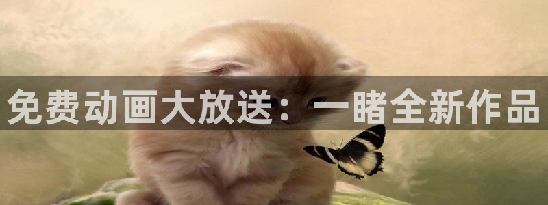 91动漫天堂