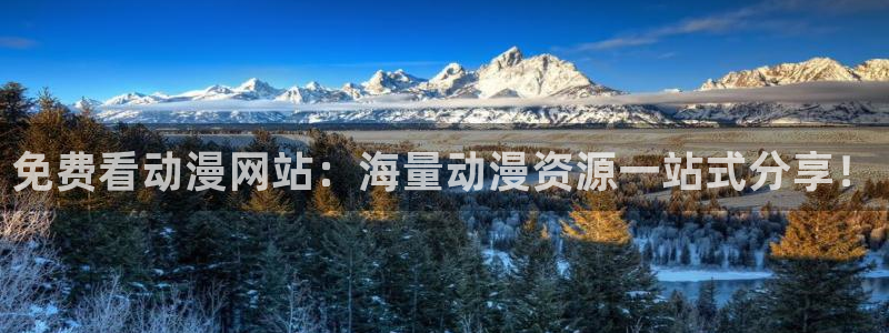 同人动漫天堂