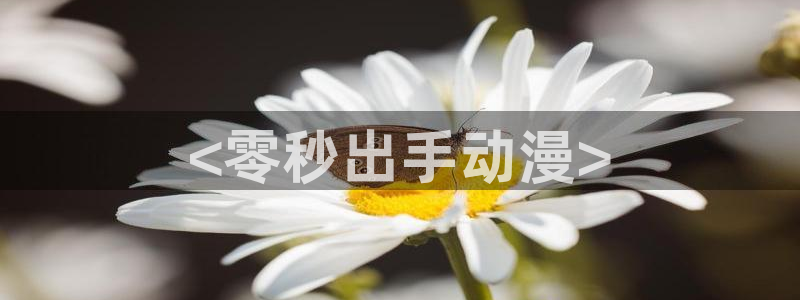 动漫天堂3d