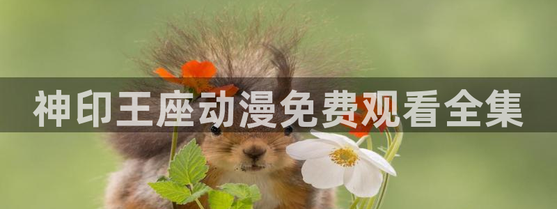 动漫天堂在线