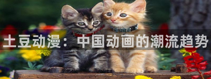 动漫天堂免费