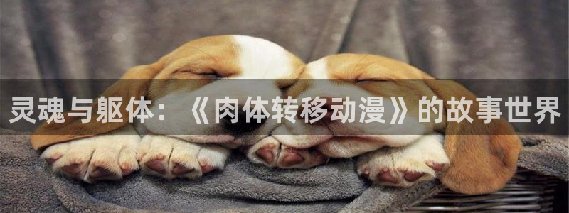 动漫天堂在线