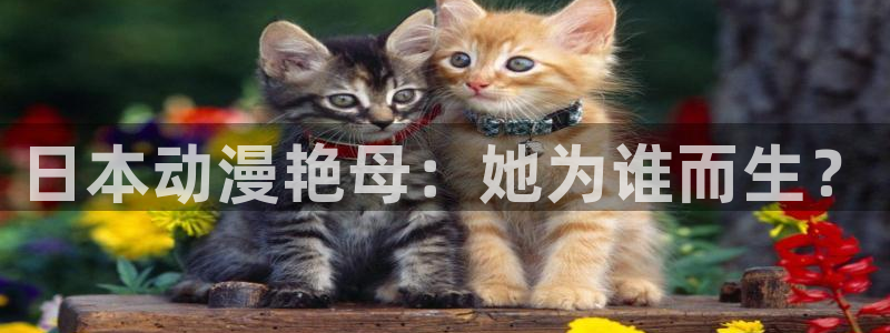 成人动漫天堂网：日本动漫艳母：她为谁而生？