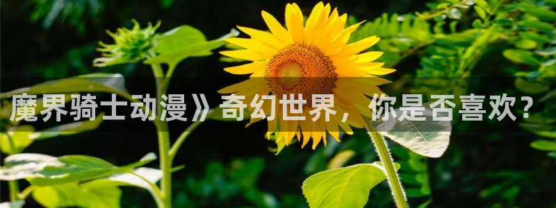 动漫天堂下载正版：魔界骑士动漫》奇幻世界，你是否喜欢？