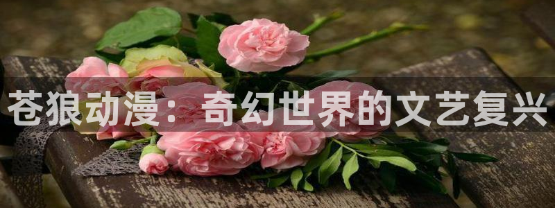 动漫天堂网站：苍狼动漫：奇幻世界的文艺复兴