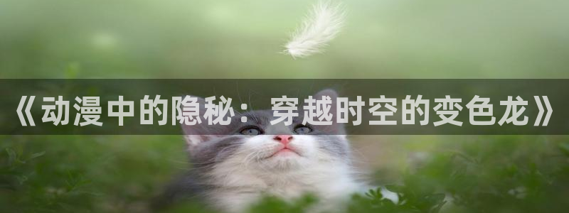 动漫天堂下载