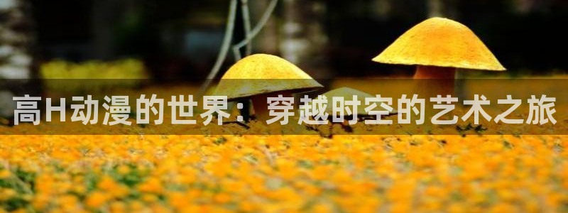 18禁动漫天堂