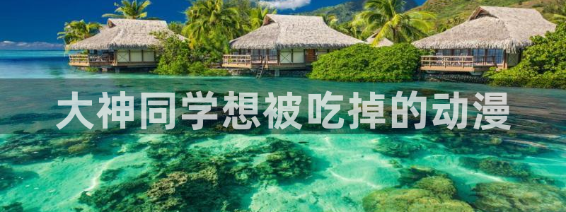 原神动漫天堂免费入口