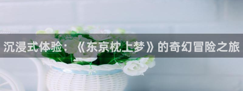 樱花动漫天堂