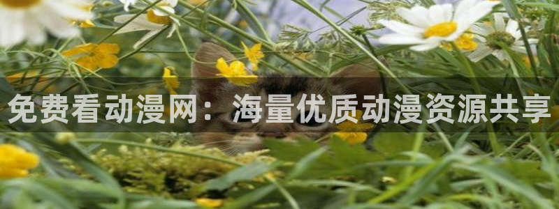 内地动漫天堂
