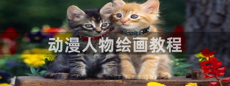 动漫天堂下载正版