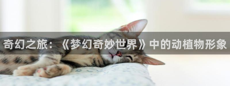 男人动漫天堂在线