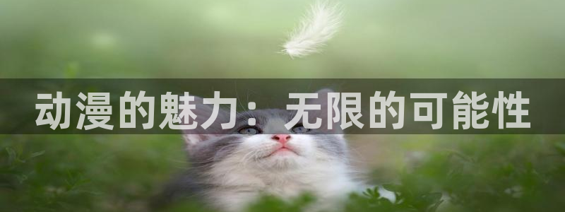 男人动漫天堂在线