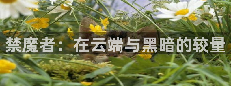 18动漫天堂