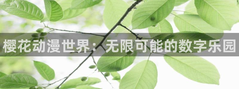 动漫天堂之吻