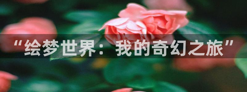 番剧推荐动漫天堂.