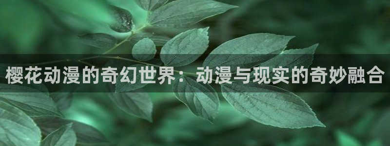 动漫天堂.
